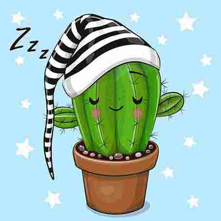 Cactus
